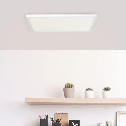 Brilliant - LED stropna svjetiljka MILTON LED/24W/230V 42x42 cm bijela