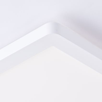 Brilliant - LED stropna svjetiljka MILTON LED/24W/230V 42x42 cm bijela
