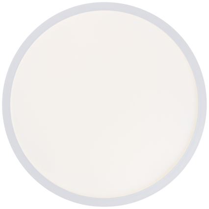 Brilliant - LED stropna svjetiljka MILTON LED/24W/230V Ø 42 cm bijela