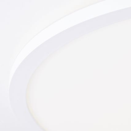 Brilliant - LED stropna svjetiljka MILTON LED/24W/230V Ø 42 cm bijela