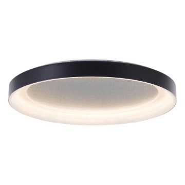 Brilliant - LED Stropna svjetiljka QUITO LED/24W/230V 3000K pr. 33 cm crna