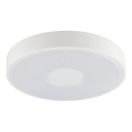 Brilliant - LED stropna svjetiljka RAKIN LED/18W/230V pr. 33,5 cm bijela