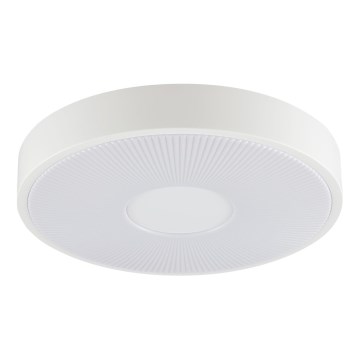 Brilliant - LED stropna svjetiljka RAKIN LED/18W/230V pr. 33,5 cm bijela