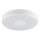 Brilliant - LED stropna svjetiljka RAKIN LED/18W/230V pr. 33,5 cm bijela