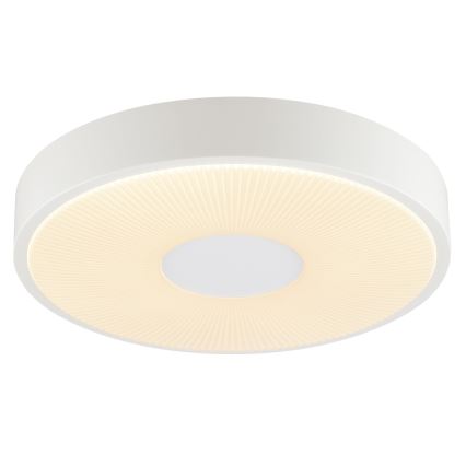 Brilliant - LED stropna svjetiljka RAKIN LED/18W/230V pr. 33,5 cm bijela