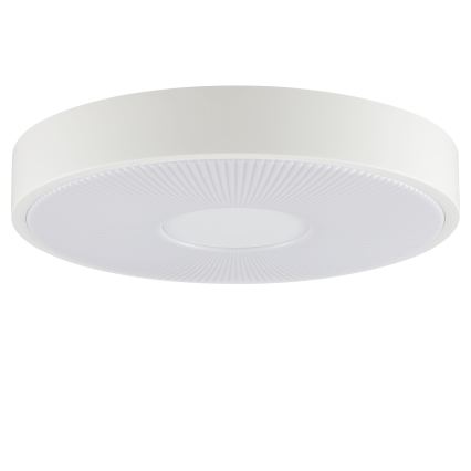 Brilliant - LED stropna svjetiljka RAKIN LED/18W/230V pr. 33,5 cm bijela