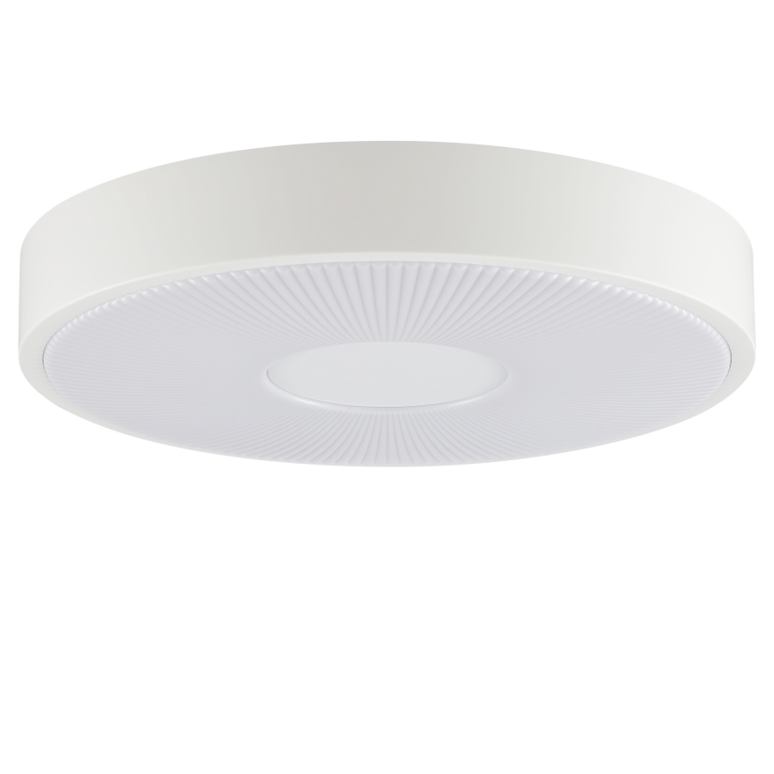 Brilliant - LED stropna svjetiljka RAKIN LED/18W/230V pr. 33,5 cm bijela