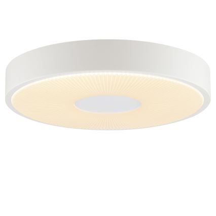 Brilliant - LED stropna svjetiljka RAKIN LED/18W/230V pr. 33,5 cm bijela