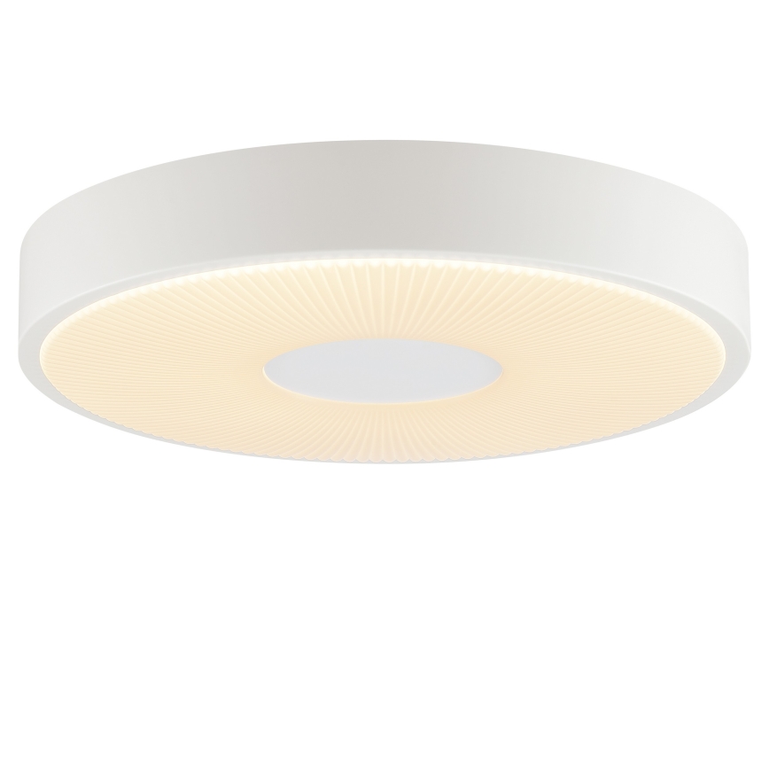 Brilliant - LED stropna svjetiljka RAKIN LED/18W/230V pr. 33,5 cm bijela