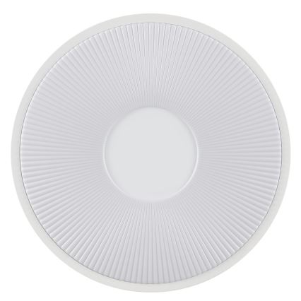 Brilliant - LED stropna svjetiljka RAKIN LED/18W/230V pr. 33,5 cm bijela