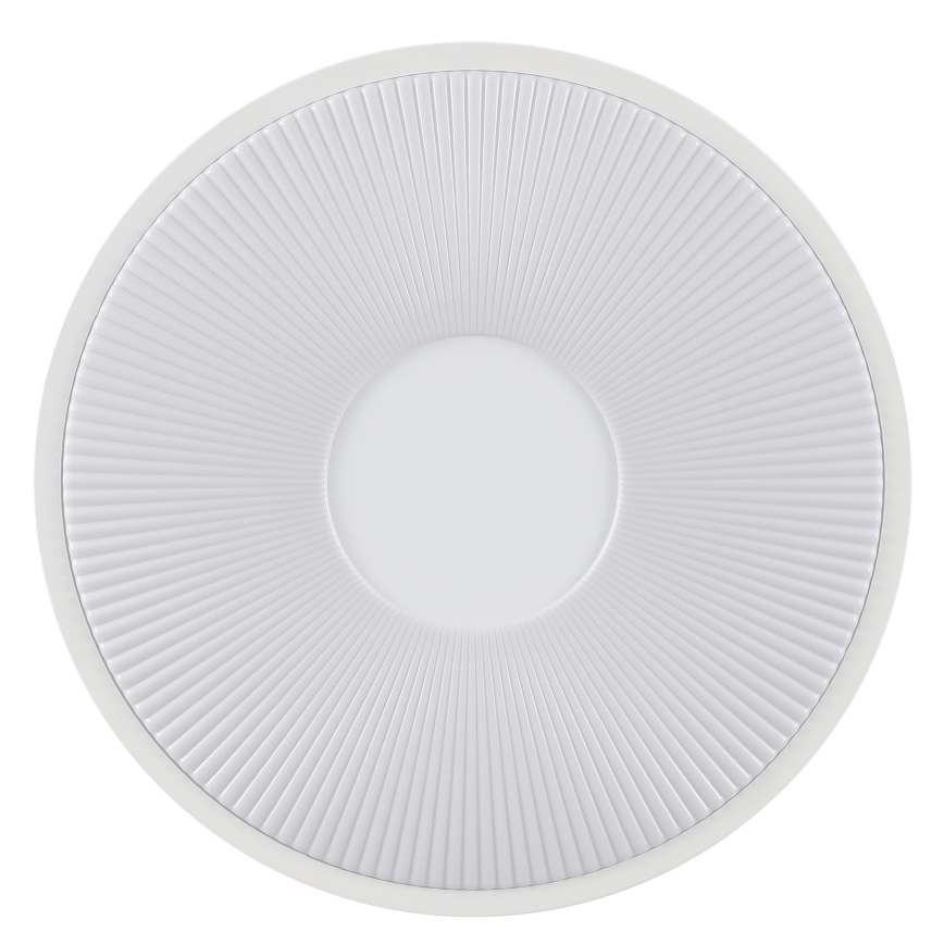 Brilliant - LED stropna svjetiljka RAKIN LED/18W/230V pr. 33,5 cm bijela