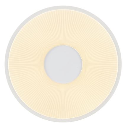 Brilliant - LED stropna svjetiljka RAKIN LED/18W/230V pr. 33,5 cm bijela