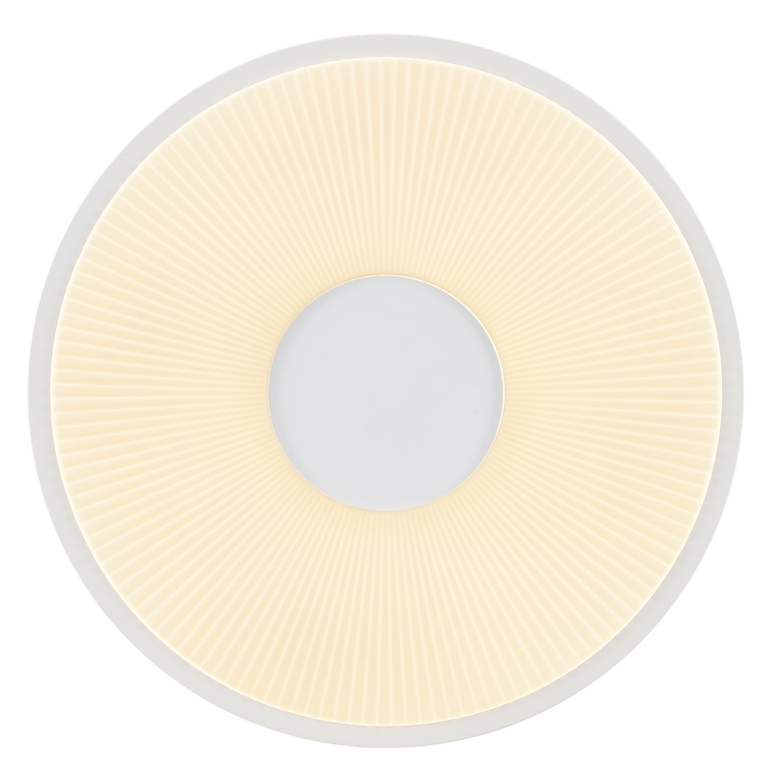 Brilliant - LED stropna svjetiljka RAKIN LED/18W/230V pr. 33,5 cm bijela