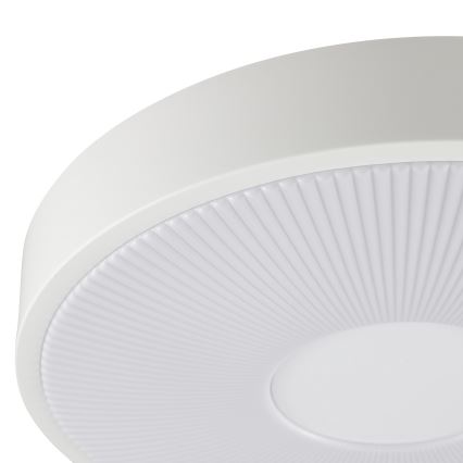 Brilliant - LED stropna svjetiljka RAKIN LED/18W/230V pr. 33,5 cm bijela