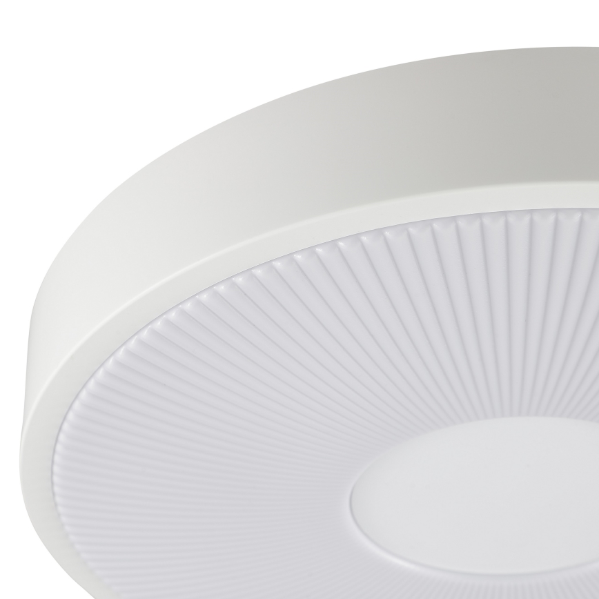 Brilliant - LED stropna svjetiljka RAKIN LED/18W/230V pr. 33,5 cm bijela