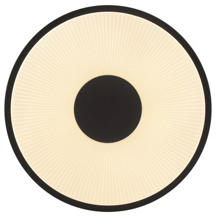 Brilliant - LED stropna svjetiljka RAKIN LED/18W/230V Ø 33,5 cm crna
