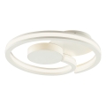 Brilliant - LED stropna svjetiljka REVOLA LED/33W/230V 3000/4000/6500K pr. 40 cm bijela