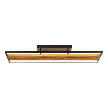 Brilliant - LED stropna svjetiljka s mogućnošću prigušivanja THUNDER LED/42W/230V borovina