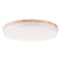 Brilliant - LED stropna svjetiljka s prigušivanjem BAARLO LED/36W/230V 3000-6500K promjer 50 cm bijela/gumeni + daljinski upravljač