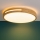 Brilliant - LED stropna svjetiljka s prigušivanjem WOODBURY LED/24W/230V promjer 39 cm guma