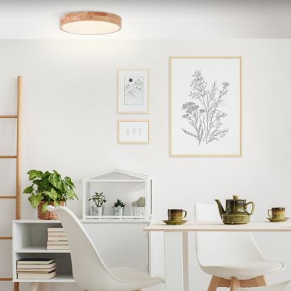 Brilliant - LED stropna svjetiljka SLIMLINE LED/22W/230V Ø 39 cm kaučukovo drvo