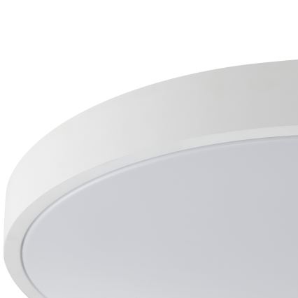 Brilliant - LED stropna svjetiljka SOLISTRA LED/18W/230V Ø 34,5 cm bijela