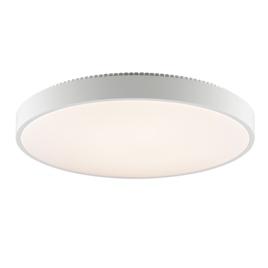 Brilliant - LED stropna svjetiljka SOLISTRA LED/36W/230V, promjer 54 cm, bijela