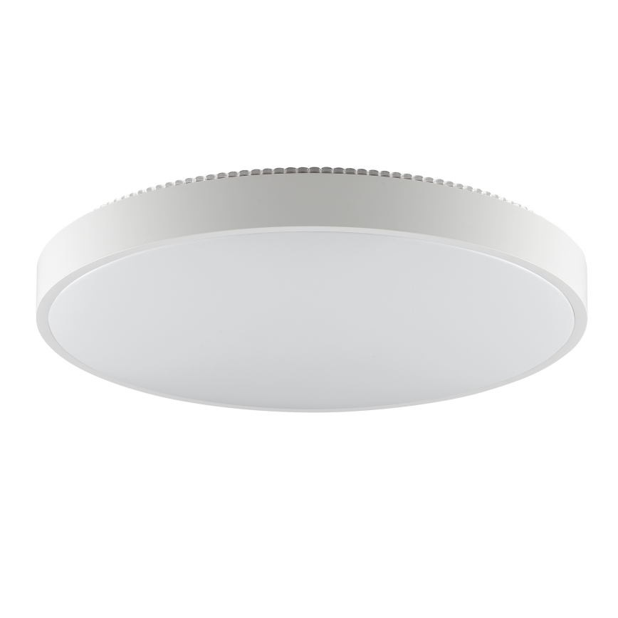 Brilliant - LED stropna svjetiljka SOLISTRA LED/36W/230V, promjer 54 cm, bijela