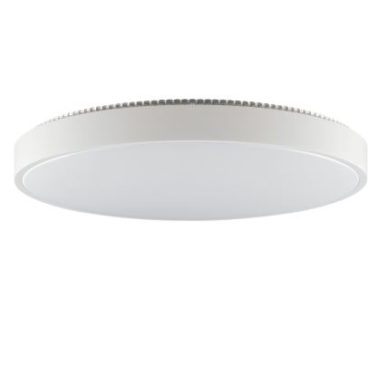 Brilliant - LED stropna svjetiljka SOLISTRA LED/36W/230V, promjer 54 cm, bijela