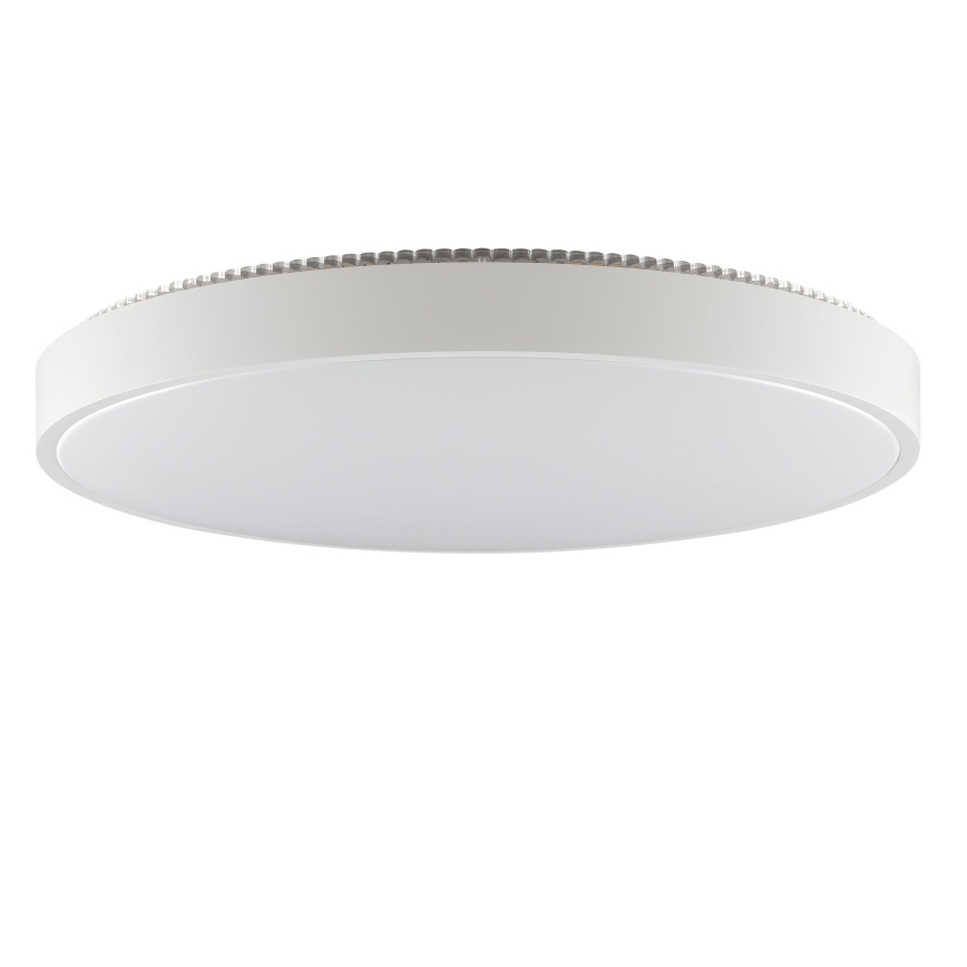 Brilliant - LED stropna svjetiljka SOLISTRA LED/36W/230V, promjer 54 cm, bijela
