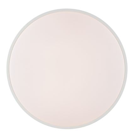 Brilliant - LED stropna svjetiljka SOLISTRA LED/36W/230V, promjer 54 cm, bijela