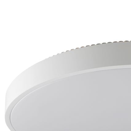 Brilliant - LED stropna svjetiljka SOLISTRA LED/36W/230V, promjer 54 cm, bijela