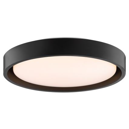 Brilliant - LED stropna svjetiljka SONORA LED/12W/230V 3000K Ø 31 cm crna