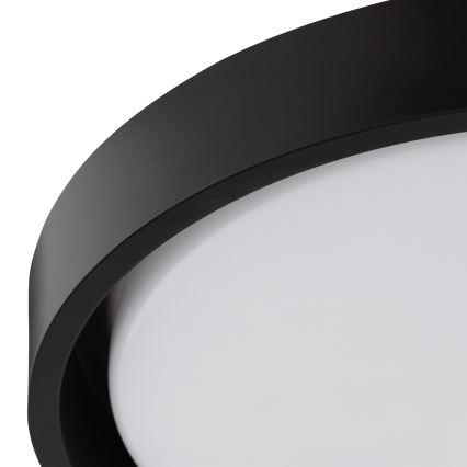 Brilliant - LED stropna svjetiljka SONORA LED/12W/230V 3000K Ø 31 cm crna
