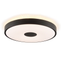 Brilliant - LED stropna svjetiljka TAVIS LED/24W/230V pr. 44,5 cm crna