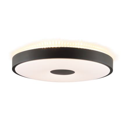 Brilliant - LED stropna svjetiljka TAVIS LED/24W/230V pr. 44,5 cm crna