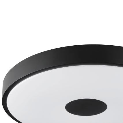 Brilliant - LED stropna svjetiljka TAVIS LED/24W/230V pr. 44,5 cm crna