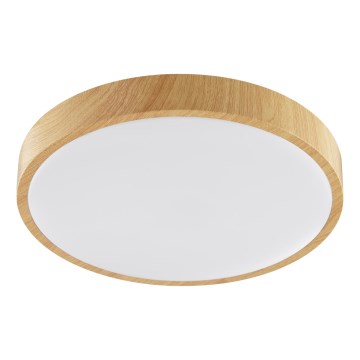 Brilliant - LED stropna svjetiljka TERANON LED/24W/230V pr. 38,5 cm bež