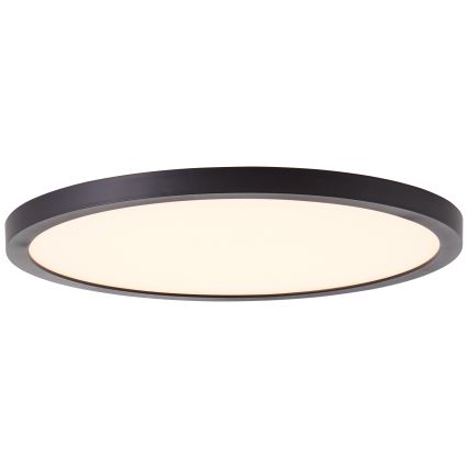Brilliant - LED stropna svjetiljka TUCO LED/16W/230V Ø 25 cm crna