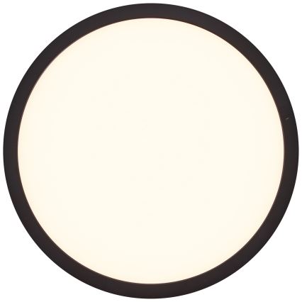 Brilliant - LED stropna svjetiljka TUCO LED/16W/230V Ø 25 cm crna