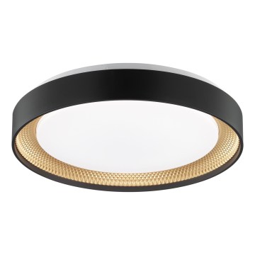 Brilliant - LED stropna svjetiljka WALDO s mogućnošću prigušenja LED/24W/230V 3000-6500K pr. 38,5 cm crna/zlatna + daljinski upravljač