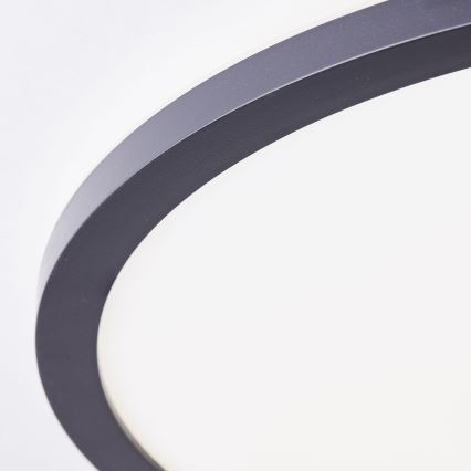 Brilliant - LED stropno svjetlo MILTON LED/24W/230V promjer 42 cm crno