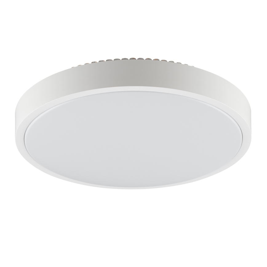 Brilliant - LED stropno svjetlo SOLISTRA LED/24W/230V Ø 44,5 cm, bijelo