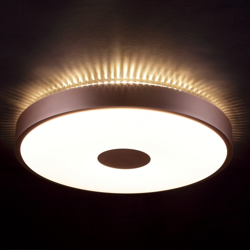 Brilliant - LED Stropno svjetlo TAVIS LED/24W/230V pr. 44,5 cm ružičasto zlato