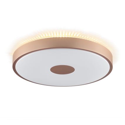 Brilliant - LED Stropno svjetlo TAVIS LED/24W/230V pr. 44,5 cm ružičasto zlato
