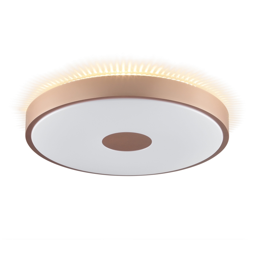 Brilliant - LED Stropno svjetlo TAVIS LED/24W/230V pr. 44,5 cm ružičasto zlato