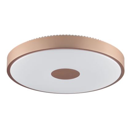Brilliant - LED Stropno svjetlo TAVIS LED/24W/230V pr. 44,5 cm ružičasto zlato