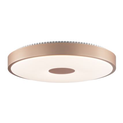 Brilliant - LED Stropno svjetlo TAVIS LED/24W/230V pr. 44,5 cm ružičasto zlato