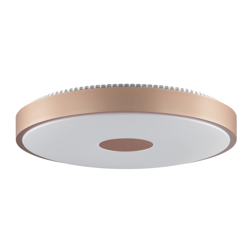 Brilliant - LED Stropno svjetlo TAVIS LED/24W/230V pr. 44,5 cm ružičasto zlato