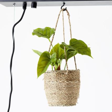 Brilliant - Luster na sajli BANKWOOD 5xE27/28W/230V topola